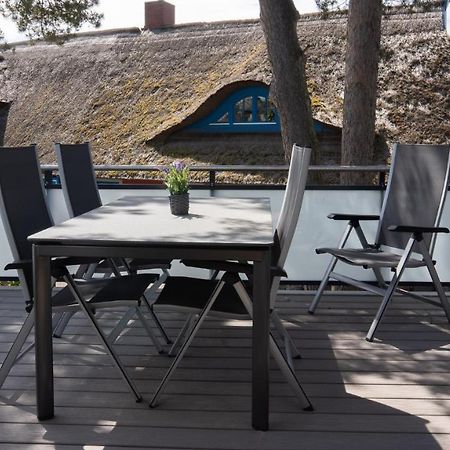 Appartement Haus Am Duenenwald Duene 4 à Zingst Extérieur photo